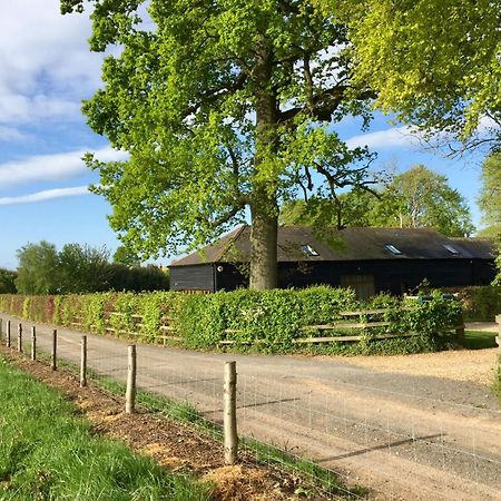 Mulberry Barn Bed and Breakfast Micheldever Buitenkant foto