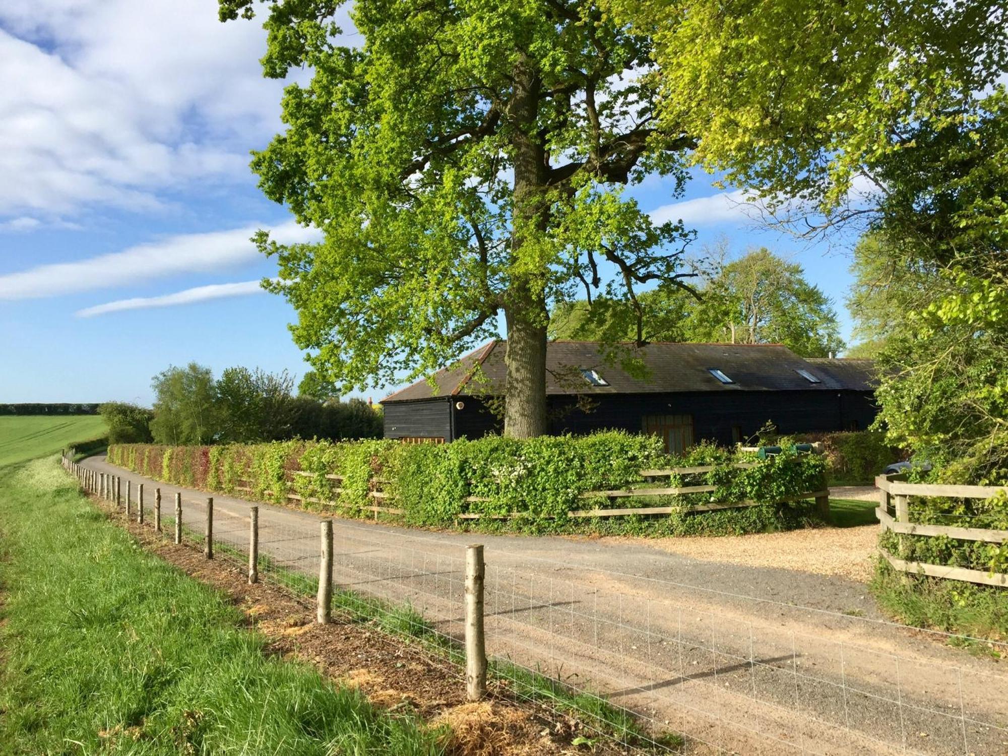 Mulberry Barn Bed and Breakfast Micheldever Buitenkant foto